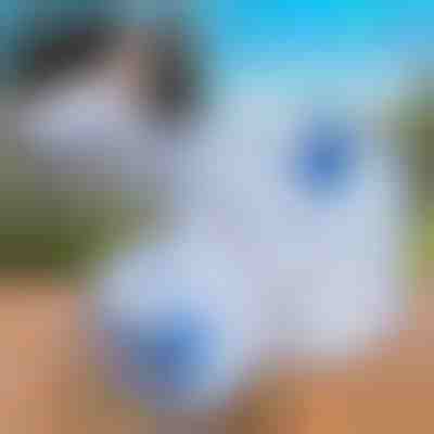 Αναδιπλούμενη δεξαμενή νερού (10L) | AQUATANK