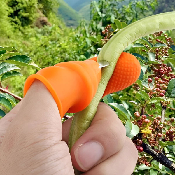 THUMBYCUT