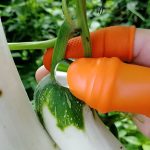 THUMBYCUT