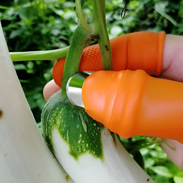 THUMBYCUT