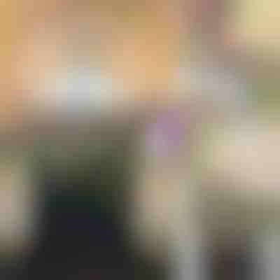 Προσομοίωση Λουλούδια Αμπελιού Βιστέρια | WISBLOOM