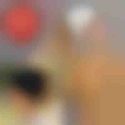 Πλεκτό Σκουφάκι για Αλογοουρά | BEANIEHUT 1+1 ΔΩΡΕΑΝ