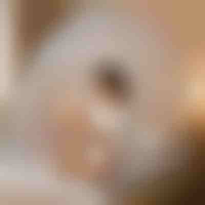 Αναδυόμενη Σκηνή Κουνουπιέρα - 200 x 180 x 145 cm, Διπλή Πόρτα | BUGISTOP