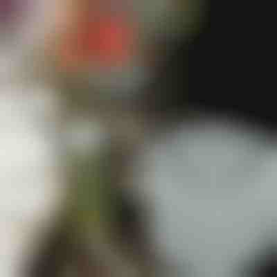 Βάση λουλουδιών για εντυπωσιακές συνθέσεις (3τμχ) | VASEKA