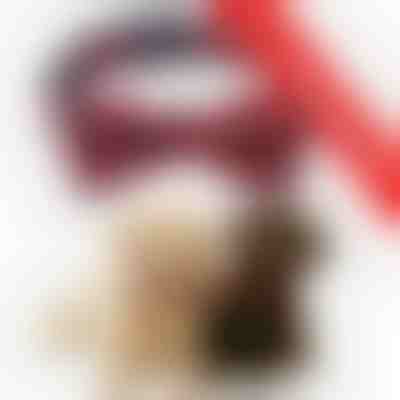 2 x Γιορτινό κολάρο σκύλου με χιονονιφάδες | DOGICOLLAR