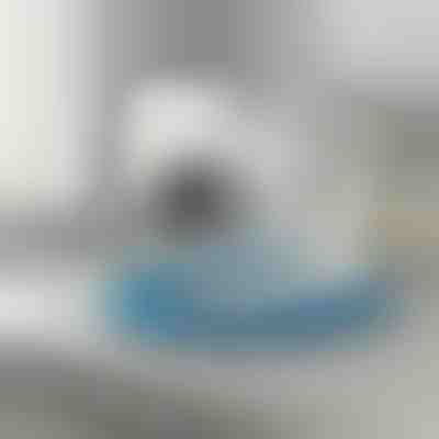 Εύκαμπτο καθαριστικό αγωγού στεγνωτηρίου | DRYKIT