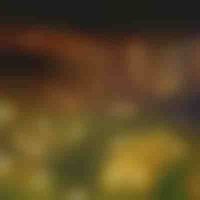 Ηλιακή γιρλάντα με 6 λαμπτήρες LED | SOMPEX